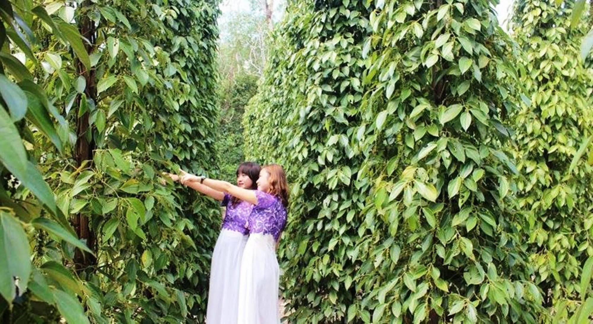 Hotel Pepper Farm Phu Quoc Esterno foto