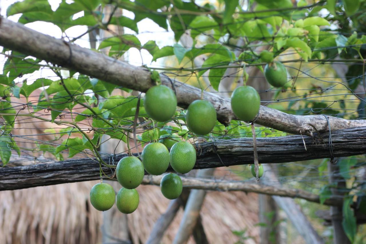 Hotel Pepper Farm Phu Quoc Esterno foto